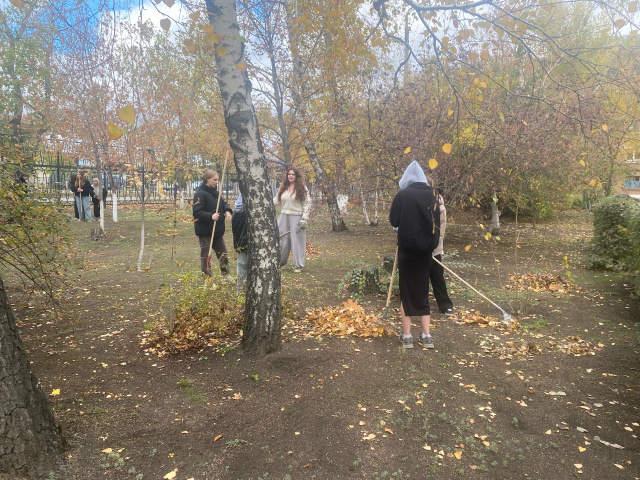 Акция Трудовой десант