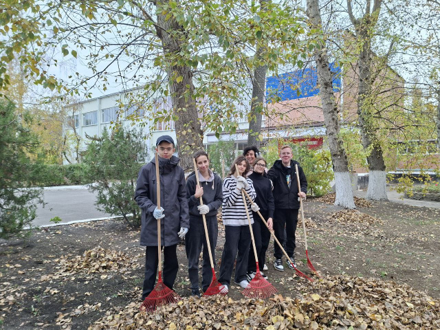 Акция Трудовой десант