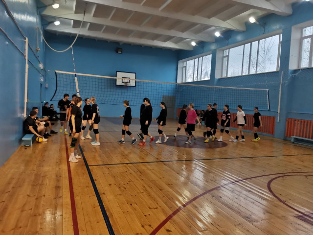 Товарищеский матч по волейболу