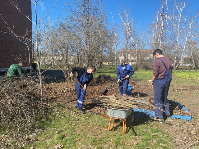 Всероссийская акция «Мы за чистоту»